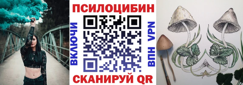 Галлюциногенные грибы Cubensis  купить   Пугачёв 